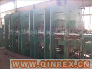 供應(yīng)輸送帶平板硫化機