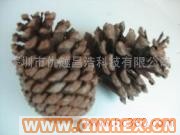供應(yīng)松果阻燃劑