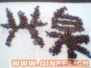 供應出售古馬龍樹脂